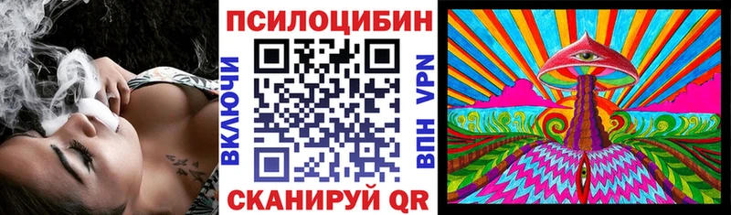 Галлюциногенные грибы Psilocybe  Беломорск 